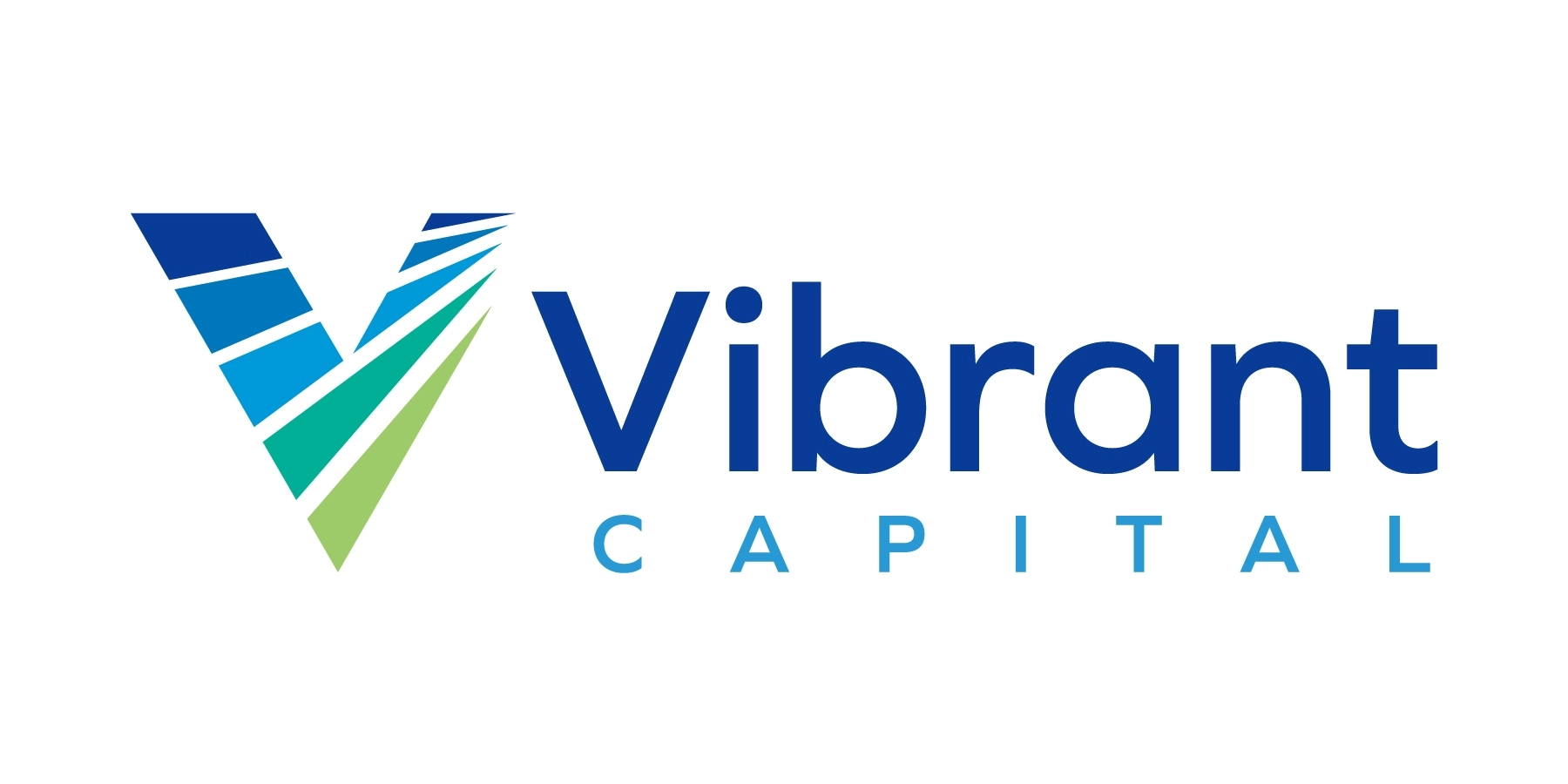Vibrant Capital